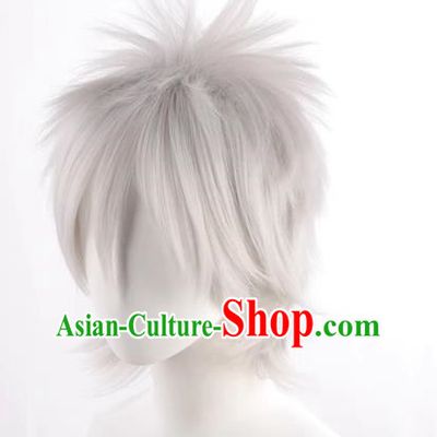 Silver Gray Hatake Kakashi Style Fluffy Men's Short Hair Cosplay Wig
