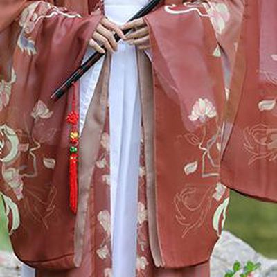 China Ancient Swordswoman Costumes Jin Dynasty Young Lady Clothing Traditional Hanfu Printing Fox Dress