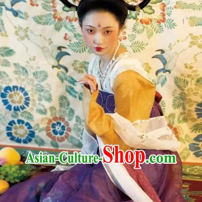 Chinese Tang Dynasty Princess Garments Ancient Young Lady Costumes Classical Dance Hanfu Dress