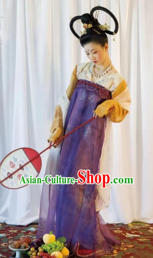 Chinese Tang Dynasty Princess Garments Ancient Young Lady Costumes Classical Dance Hanfu Dress Chinese Tang Dynasty Princess Garments Ancient Young Lady Costumes Classical Dance Hanfu Dress