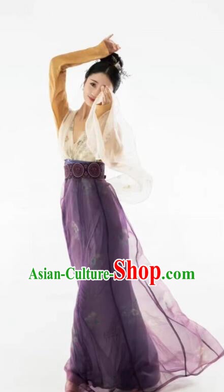 Chinese Tang Dynasty Princess Garments Ancient Young Lady Costumes Classical Dance Hanfu Dress Chinese Tang Dynasty Princess Garments Ancient Young Lady Costumes Classical Dance Hanfu Dress