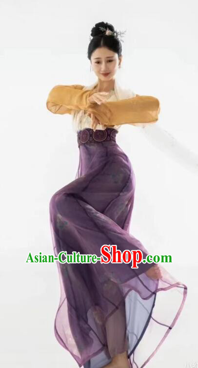 Chinese Tang Dynasty Princess Garments Ancient Young Lady Costumes Classical Dance Hanfu Dress Chinese Tang Dynasty Princess Garments Ancient Young Lady Costumes Classical Dance Hanfu Dress