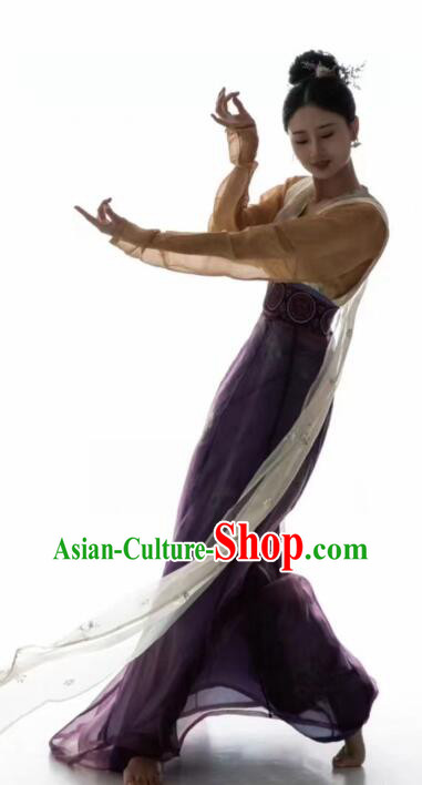 Chinese Tang Dynasty Princess Garments Ancient Young Lady Costumes Classical Dance Hanfu Dress Chinese Tang Dynasty Princess Garments Ancient Young Lady Costumes Classical Dance Hanfu Dress