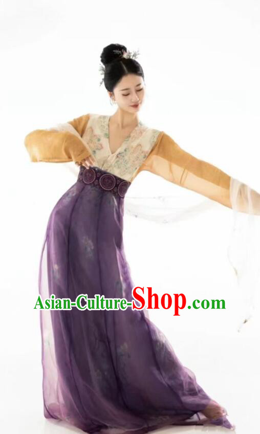 Chinese Tang Dynasty Princess Garments Ancient Young Lady Costumes Classical Dance Hanfu Dress Chinese Tang Dynasty Princess Garments Ancient Young Lady Costumes Classical Dance Hanfu Dress