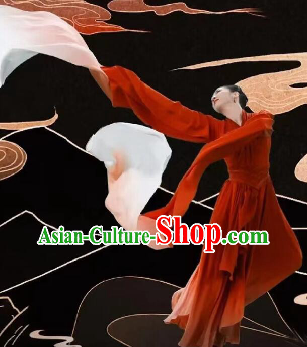 Chinese Classical Dance Clothing  Spring Festival Gala Red Dress Water Sleeve Dance Costume