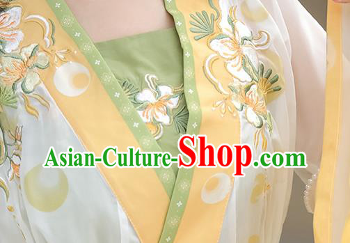 Chinese Southern and Northern Dynasties Young Lady Clothing Ancient Fairy Costume Traditional Dress Chinese Southern and Northern Dynasties Young Lady Clothing Ancient Fairy Costume Traditional Dress