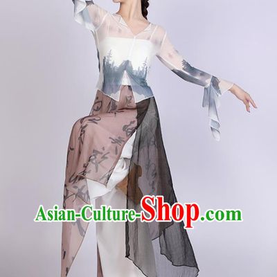 Women Solo Dance Clothing Chinese Classical Dance Costume Ink Painting Dance Training Garment
