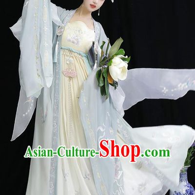 China Embroidered Hanfu Clothing Tang Dynasty Imperial Consort Dresses Ancient Court Woman Garment Costumes