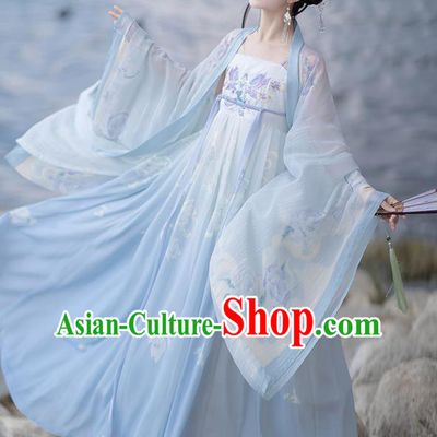 China Ancient Fairy Costumes Tang Dynasty Princess Clothing Traditional Blue Ruqun Hanfu Dress