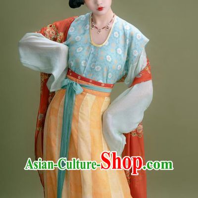 China Woman Hanfu Ancient Palace Lady Dresses Tang Dynasty Court Princess Clothing Traditional Costumes