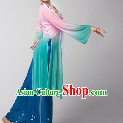 Classical Dance Chinese Ancient Style Gauze Body Elegant Shawl Performance Dance Clothing Practice Clothing Dream Catcher Adult Chiffon
