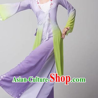 Practice Clothes Modern Dance Dream Catcher Chinese Ancient Style Gauze Clothes Shape Elegant Shawl Performance Dance Clothes