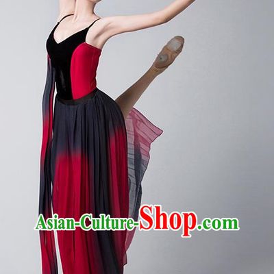 Modern Dance Clothing With The Same Style Of Rouge Dance Storm Performance Clothing Female Elegant Long Skirt Chinese Style Adult