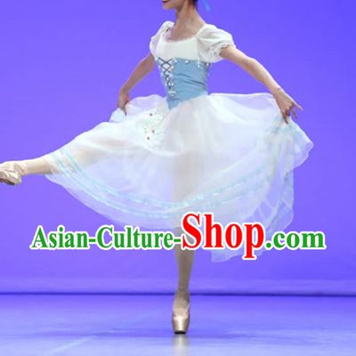 International Ballet Competition Variation Ballet Skirt Adult Children Tutu Tutu Skirt TUTU Long Skirt