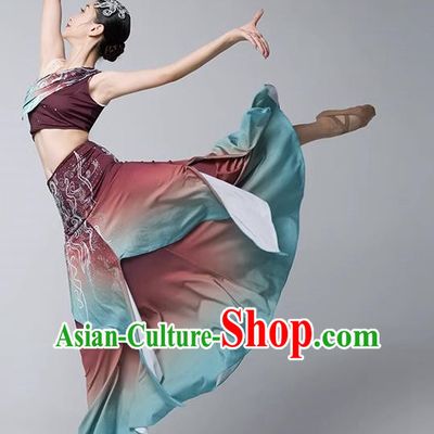 Dai Costume Female Practice Dance Performance Clothing Art Test Practice Skirt Adult Peacock Fishtail Skirt Performance Clothing