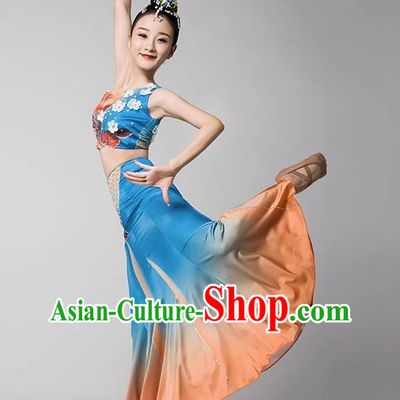 Dai Nationality Dance Art Examination Clothing Gradient Mermaid Skirt Ethnic Minority Dance Performance Clothing