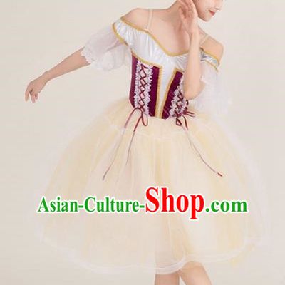Long Skirt Lace Palace Lace Dance Skirt Performance Costume Stage Costume
