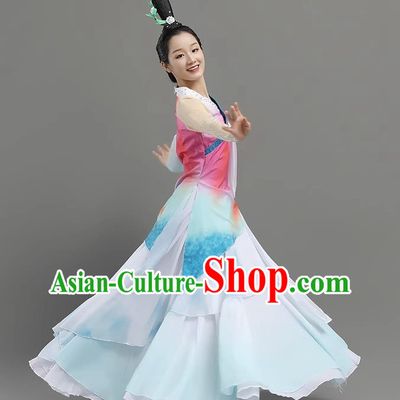 China Classical Dance Landscape Dance Costume Art Examination Adult Performance Clothing Elegant Skirt Female Performance Clothing