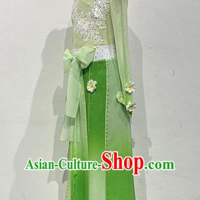 China Classical Chinese Style Art Test Dance Sentiment Embroidered Ridge Performance Costumes Performance Costumes Solo Repertoire Costumes