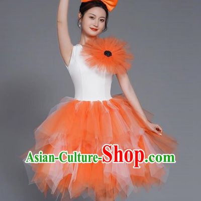 Modern Dance Costumes Fashion Dancer Costumes Opening Dance Costumes Fluffy Chorus Square Dance Dresses