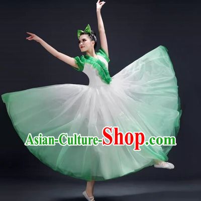 Opening Dance Big Swing Skirt Performance Costume Female Modern Dance Costume Song and Dance Performance Costume Classical Stage Long Skirt