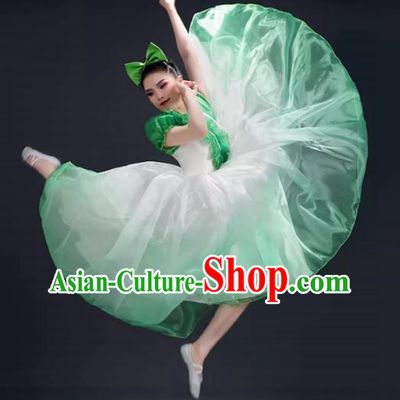 Opening Dance Big Swing Skirt Performance Costume Female Modern Dance Costume Song and Dance Performance Costume Classical Stage Long Skirt