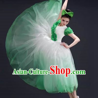 Opening Dance Big Swing Skirt Performance Costume Female Modern Dance Costume Song and Dance Performance Costume Classical Stage Long Skirt