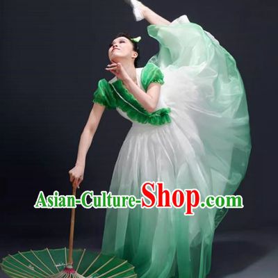 Opening Dance Big Swing Skirt Performance Costume Female Modern Dance Costume Song and Dance Performance Costume Classical Stage Long Skirt