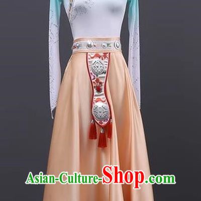 Tibetan Dance Performance Clothing Large Skirt Class Clothing Classroom Practice Clothing Art Test Performance Clothing Tibetan Robe