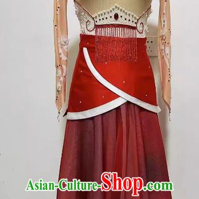 Woman Solo Dancing Clothing Professional Stage Performance Costume China Classical Dance Dress