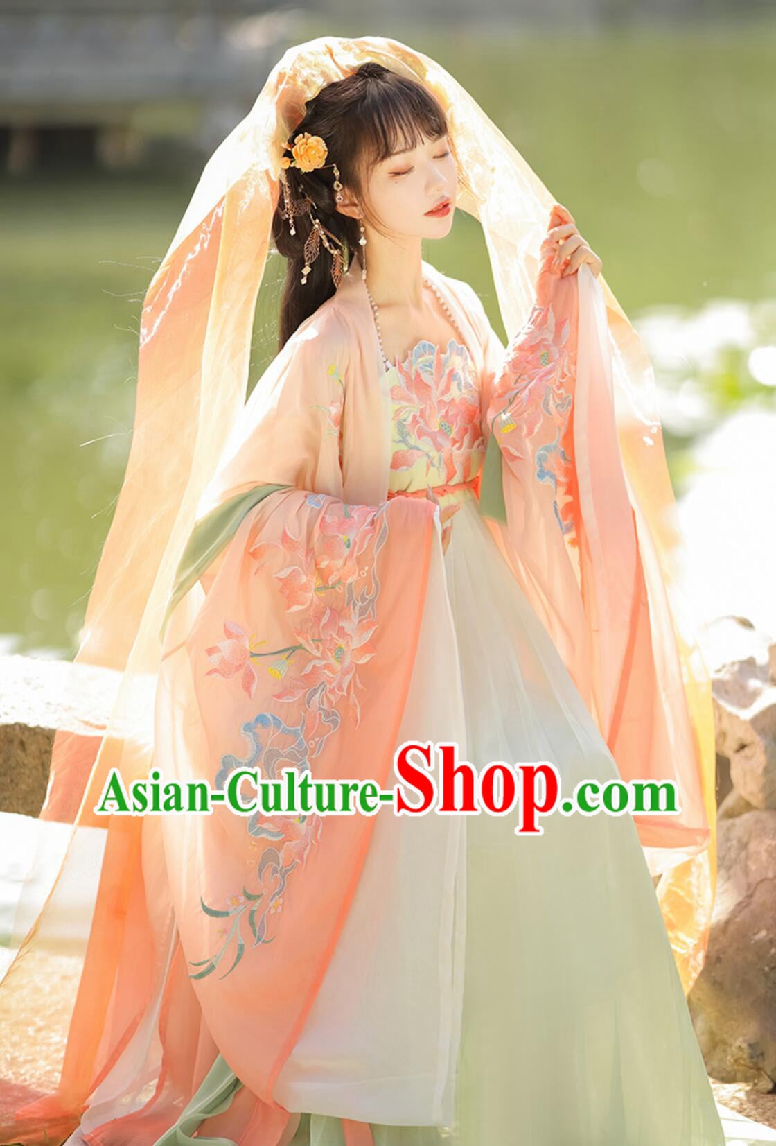Ancient China Young Lady Costume Traditional Chinese Clothing Tang Dynasty Princess Hanfu Dress Ancient China Young Lady Costume Traditional Chinese Clothing Tang Dynasty Princess Hanfu Dress