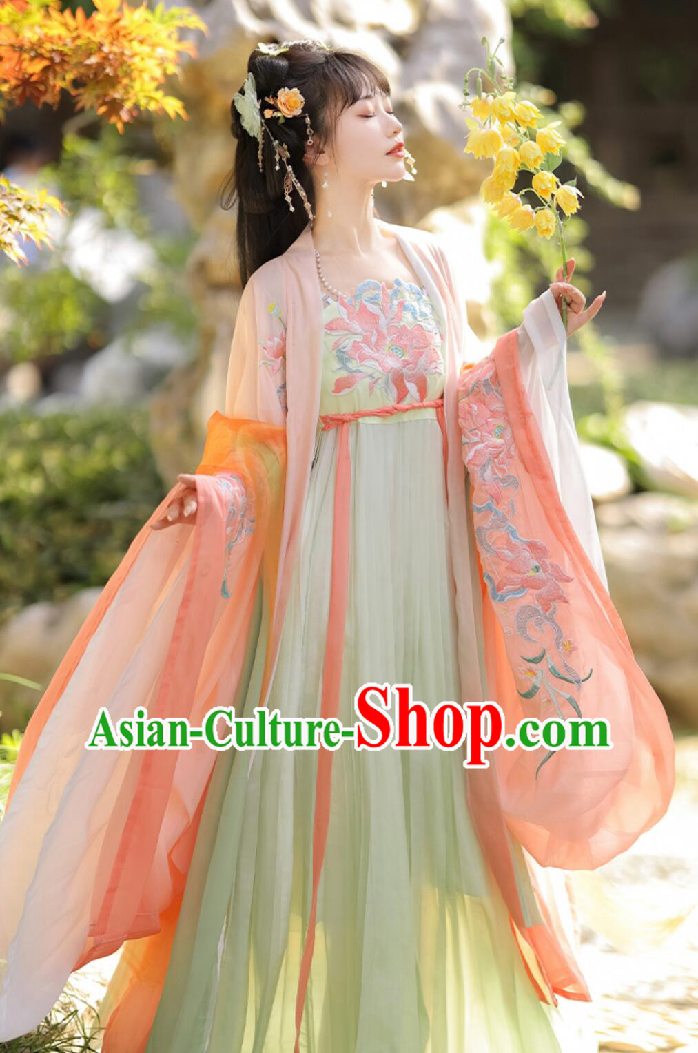 Ancient China Young Lady Costume Traditional Chinese Clothing Tang Dynasty Princess Hanfu Dress Ancient China Young Lady Costume Traditional Chinese Clothing Tang Dynasty Princess Hanfu Dress