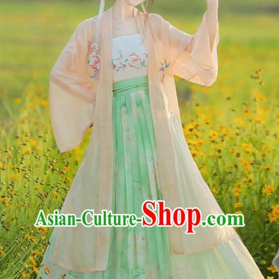 Chinese Song Dynasty Female Costume Ancient China Young Lady Clothing Traditional Hanfu Dress