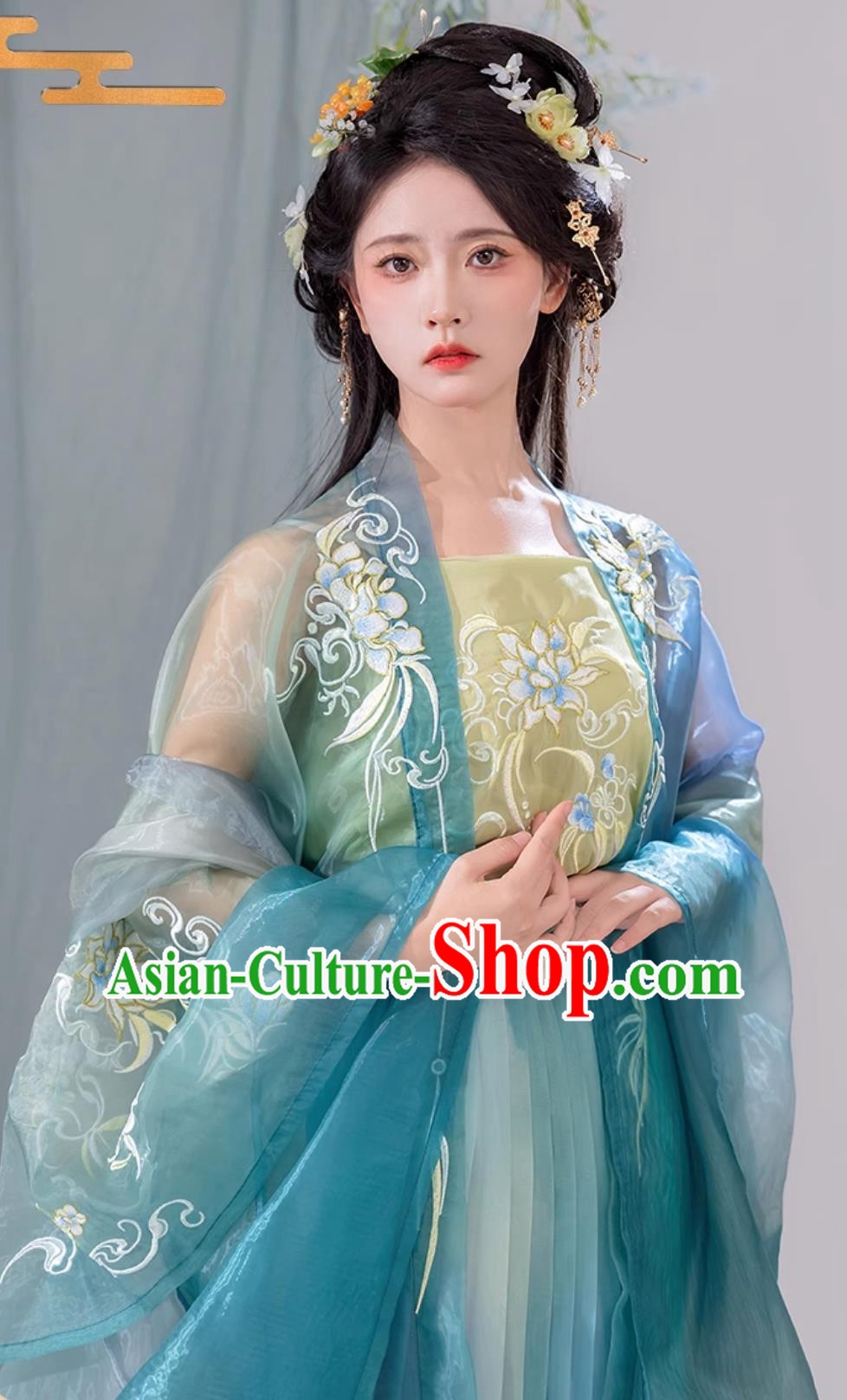 Chinese Ancient Princess Fairy Costumes Traditional Hanfu Clothing Woman Blue Dress