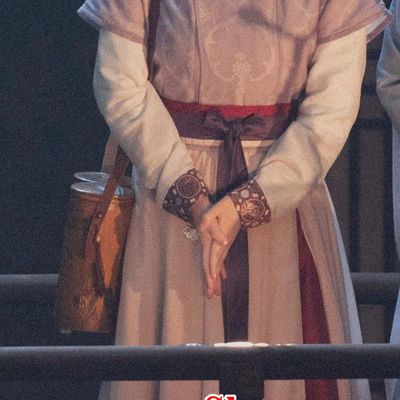 China TV Drama The Legend of Zhuohua Noble Lady Mu Zhuo Hua Dress Ancient Young Woman Hanfu Costumes