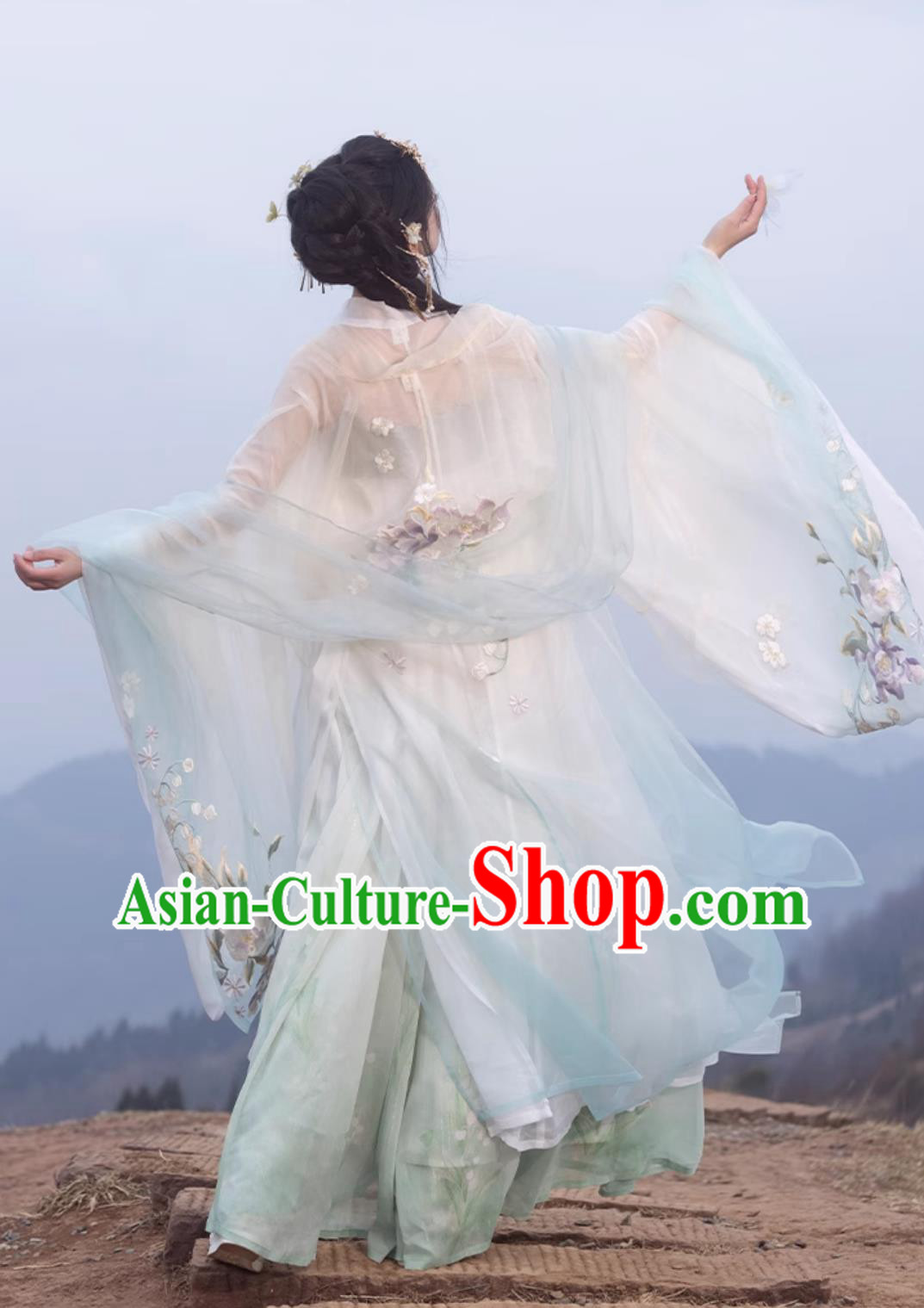 Ancient Chinese Female Costume Traditional Tang Dynasty Princess Hanfu China Classical Hezi Qun Ancient Chinese Female Costume Traditional Tang Dynasty Princess Hanfu China Classical Hezi Qun