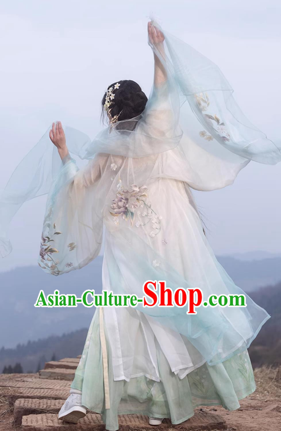 Ancient Chinese Female Costume Traditional Tang Dynasty Princess Hanfu China Classical Hezi Qun Ancient Chinese Female Costume Traditional Tang Dynasty Princess Hanfu China Classical Hezi Qun