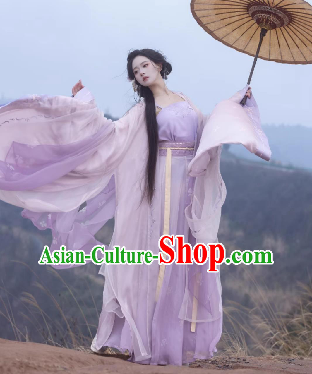 Traditional Song Dynasty Hanfu China Woman Clothing Ancient Chinese Princess Lilac Costumes Traditional Song Dynasty Hanfu China Woman Clothing Ancient Chinese Princess Lilac Costumes