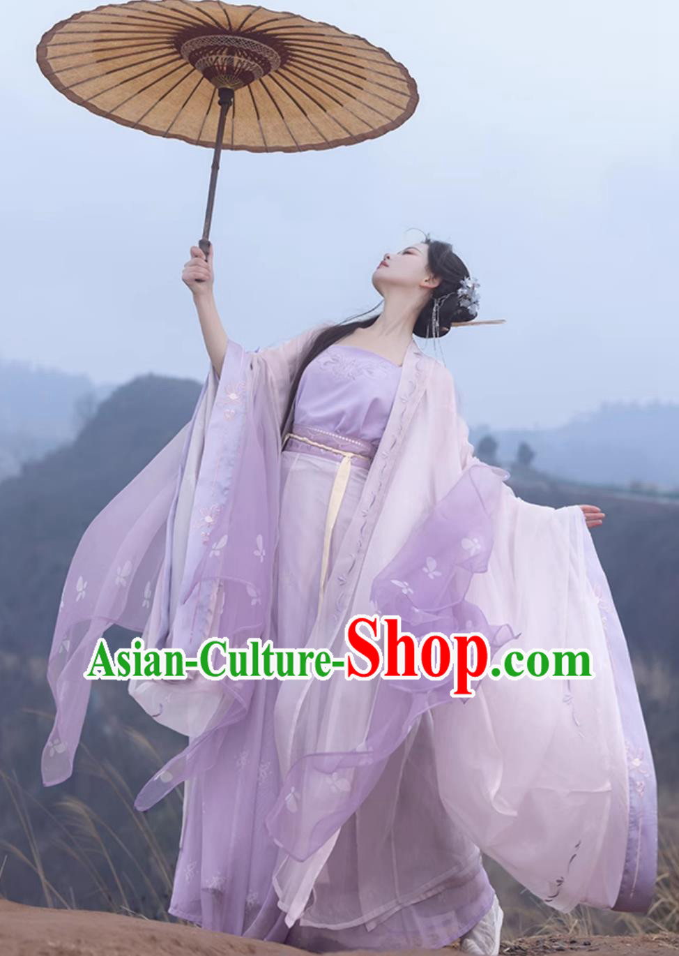 Traditional Song Dynasty Hanfu China Woman Clothing Ancient Chinese Princess Lilac Costumes Traditional Song Dynasty Hanfu China Woman Clothing Ancient Chinese Princess Lilac Costumes