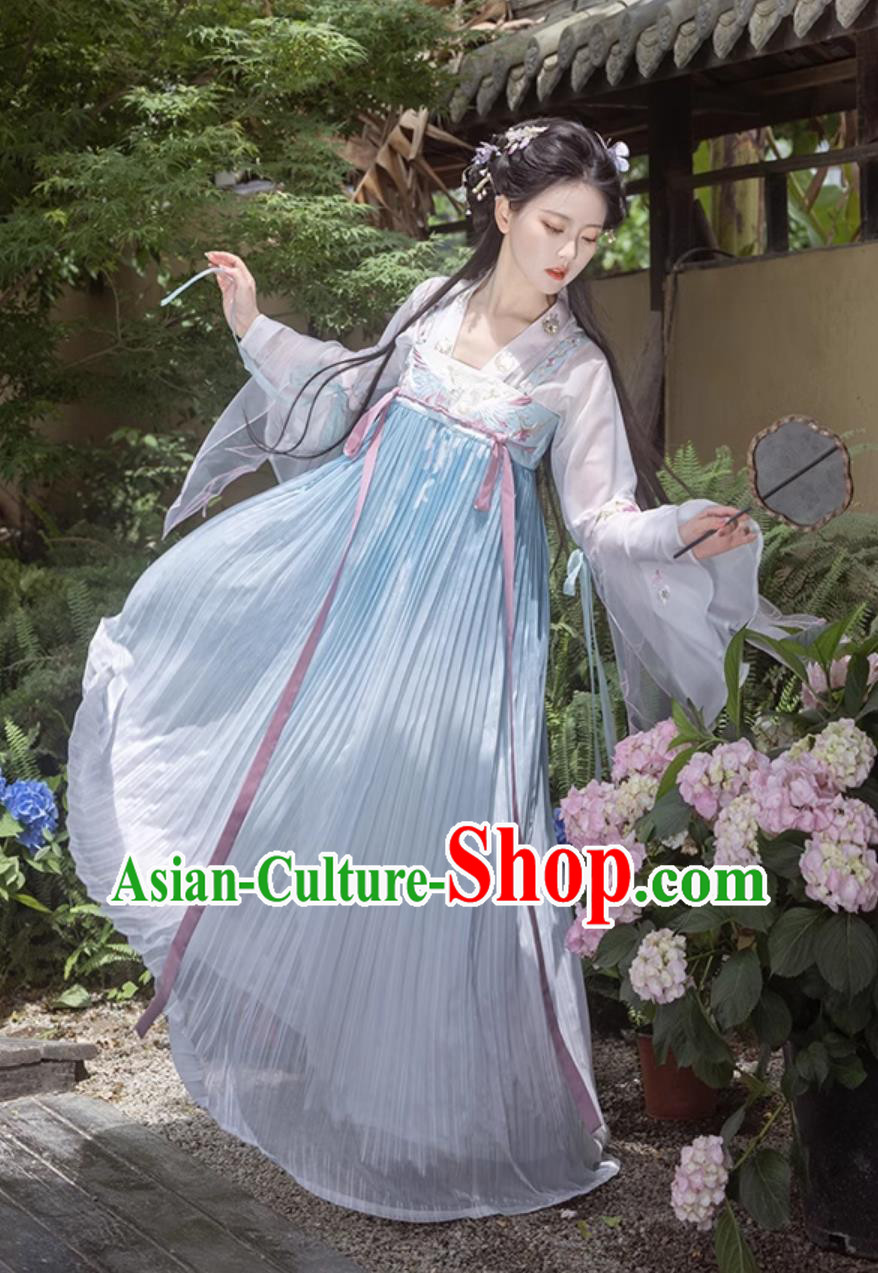 Traditional Tang Dynasty Princess Blue Hanfu Dress Ancient Chinese Clothing Traditional Tang Dynasty Princess Blue Hanfu Dress Ancient Chinese Clothing