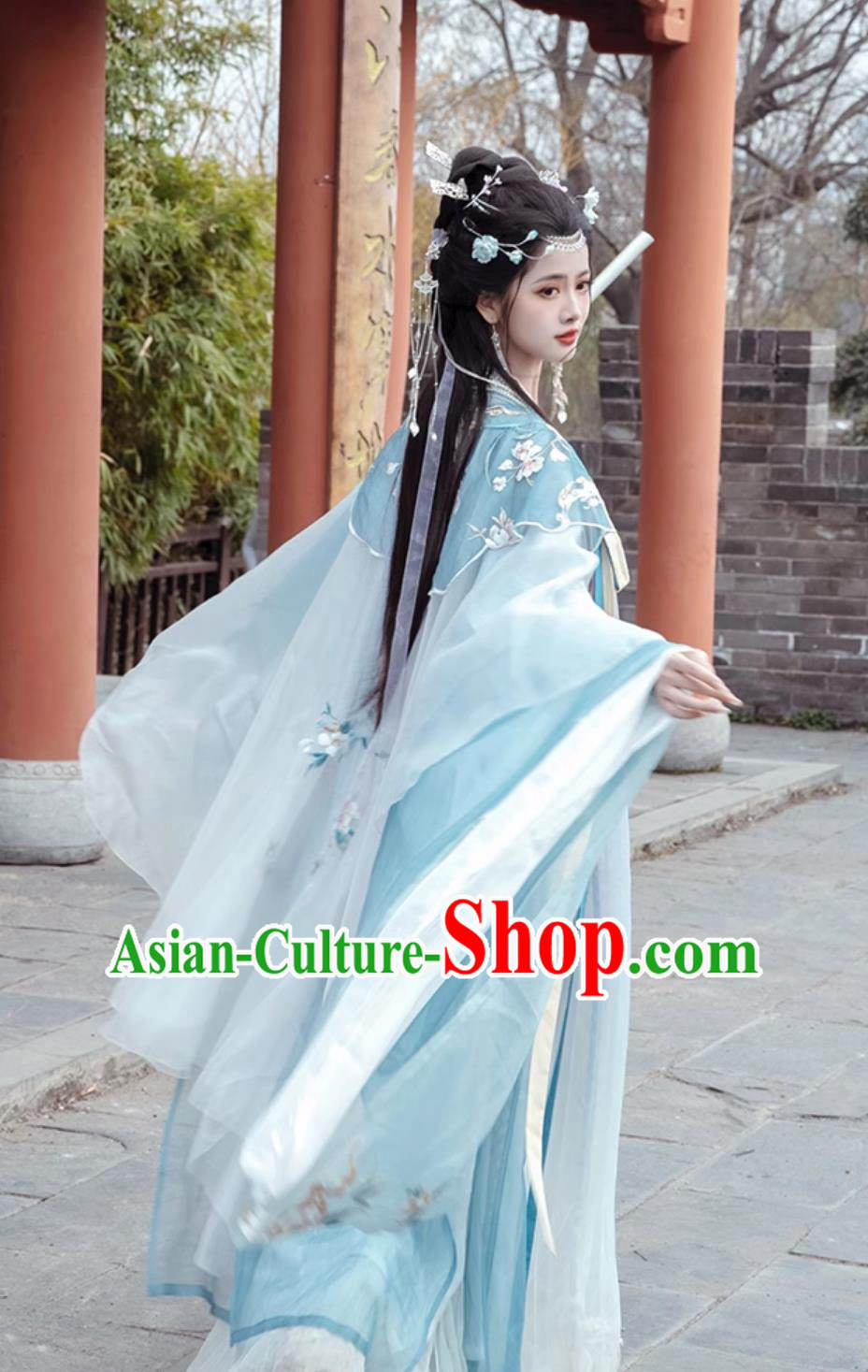 Traditional Hanfu Dress Ancient Chinese Female Clothing Tang Dynasty Princess Blue Garments Traditional Hanfu Dress Ancient Chinese Female Clothing Tang Dynasty Princess Blue Garments