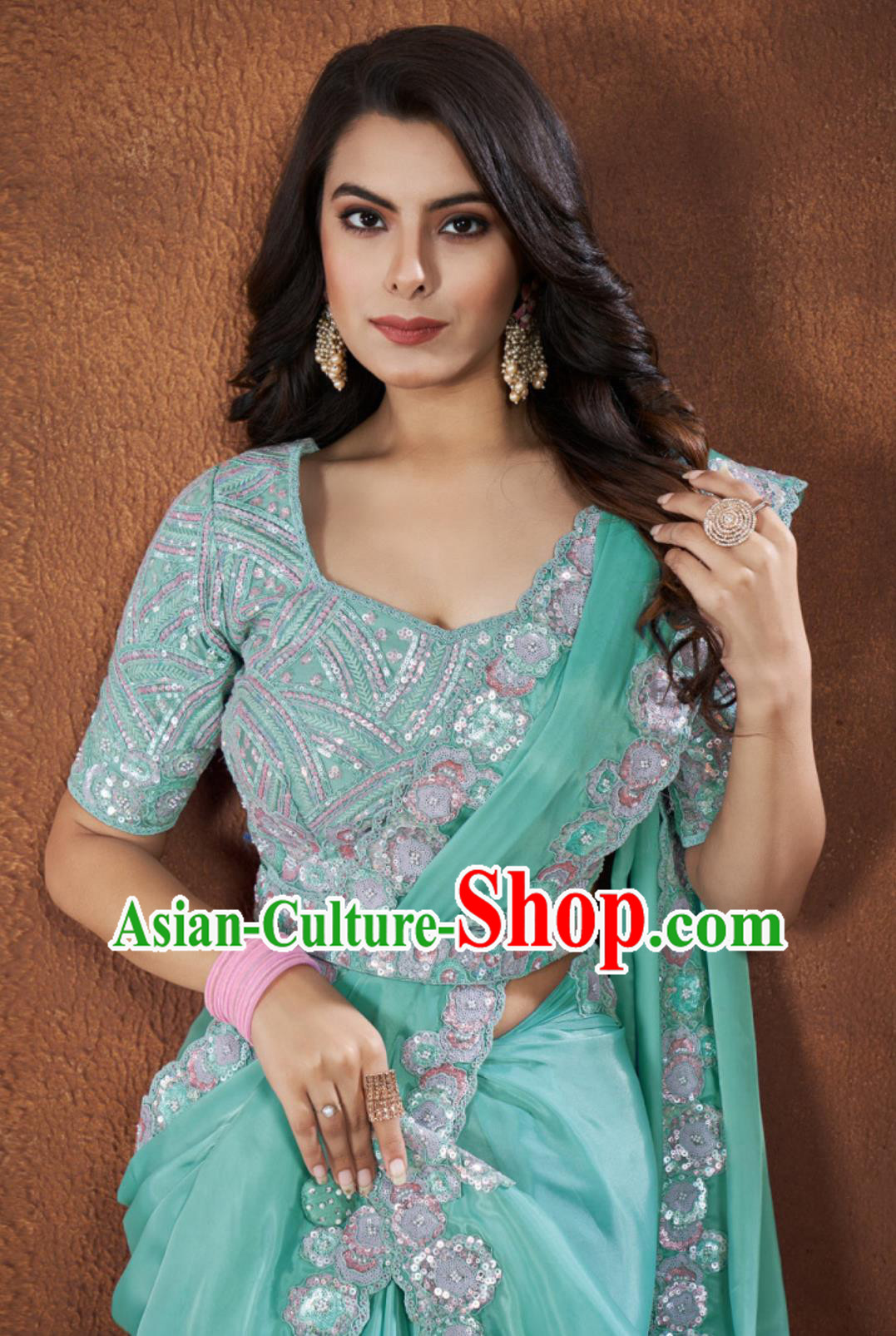Indian Traditional Women Clothing Embroidery Lake Blue Dress Festival Sari National Costume Indian Traditional Women Clothing Embroidery Lake Blue Dress Festival Sari National Costume