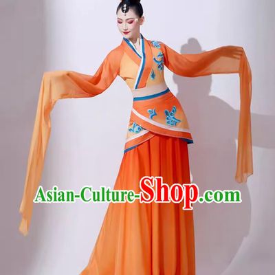Chinese Classical Dance Costume Traditional Yu Ren Dance Water Sleeve Dress Women Group Performance Clothing