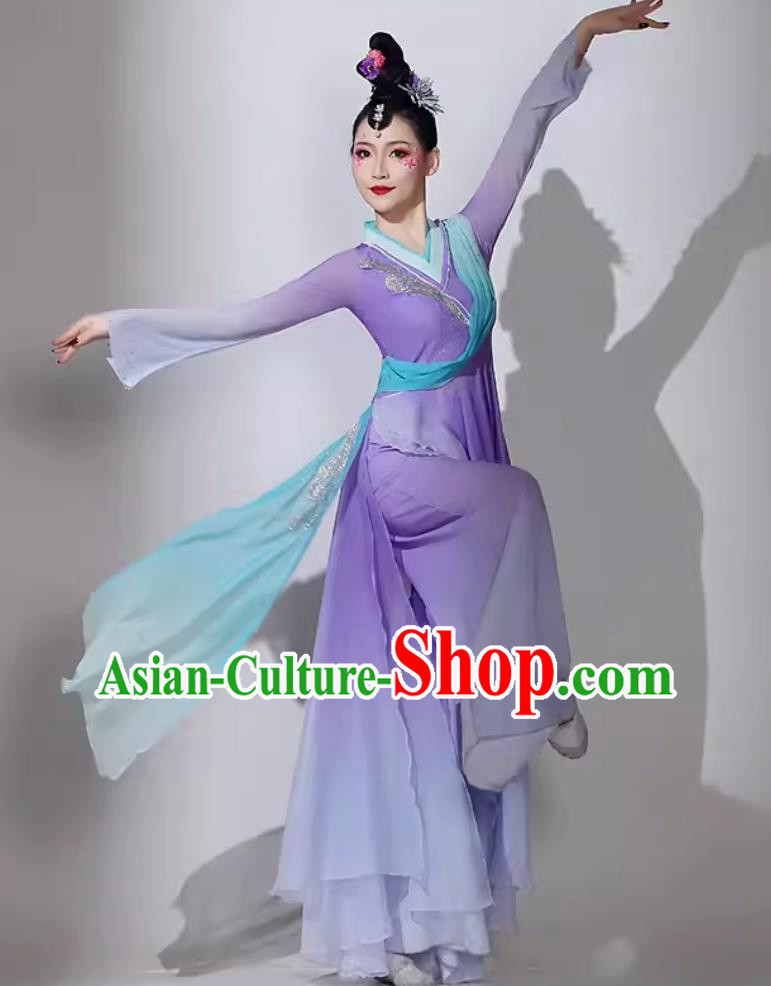 Traditional Dan Dance Lilac Dress Women Group Performance Clothing Chinese Classical Dance Costume Traditional Dan Dance Lilac Dress Women Group Performance Clothing Chinese Classical Dance Costume