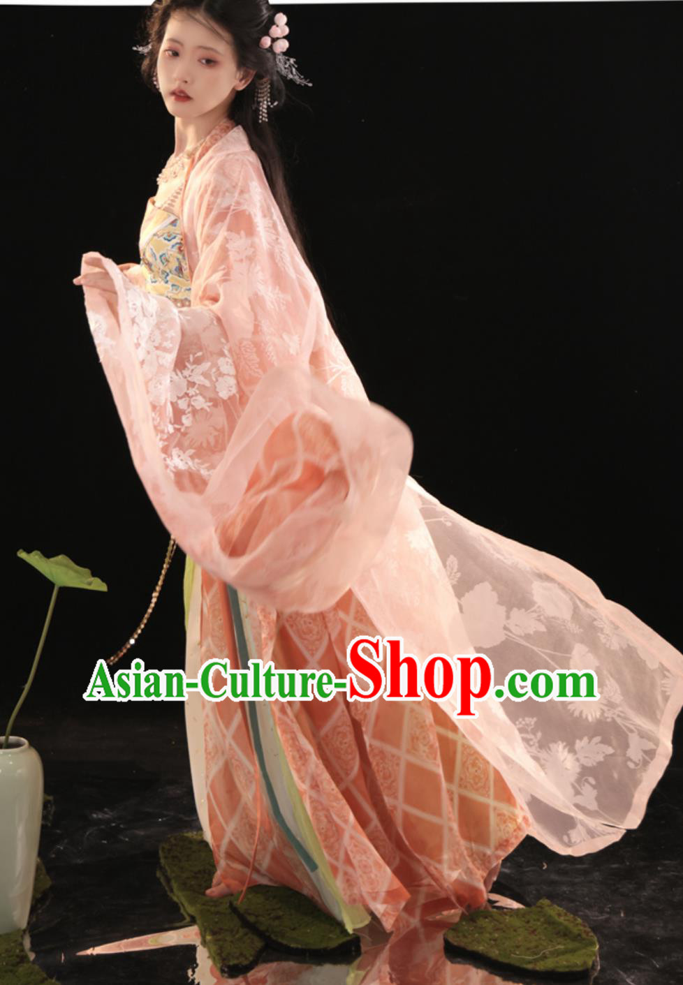 Chinese Tang Dynasty Princess Dress Traditional Hanfu Ancient China Fairy Clothing Chinese Tang Dynasty Princess Dress Traditional Hanfu Ancient China Fairy Clothing