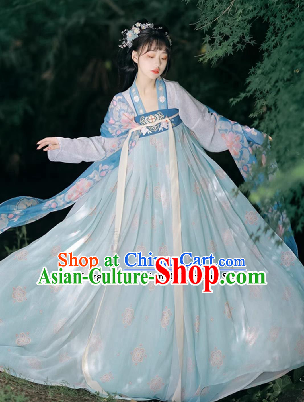 Tang Dynasty Young Lady Costume Chinese Hanfu Ancient China Royal Princess Blue Dress Tang Dynasty Young Lady Costume Chinese Hanfu Ancient China Royal Princess Blue Dress