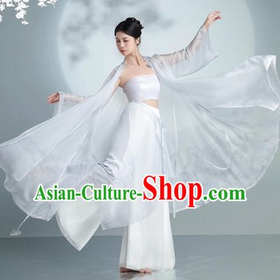 Chinese Traditional Dance Clothing Classical Dance Silver Outfit Women Group Dance Costume