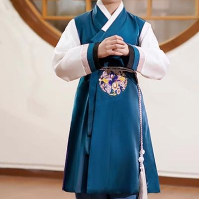Traditional Korea National Costume Korean Boy Festival and Birthday Hanbok