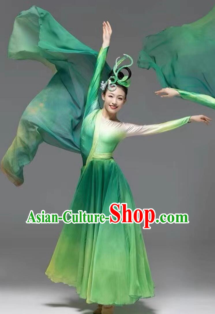 Chinese Classical Dance Performance Costume Opening Dance Green Dress