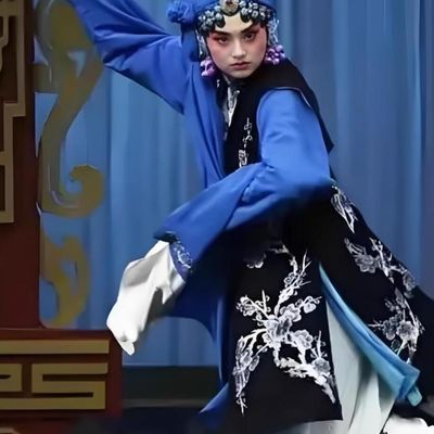 Traditional Peking Opera The Jewelry Purse Costume Chinese Beijing Opera Actress Vest Gown and Skirt Complete Set